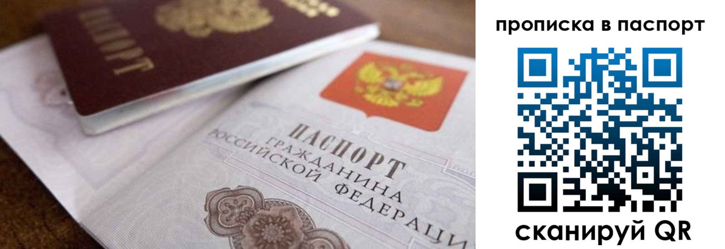 где прописаться в Белгородской области